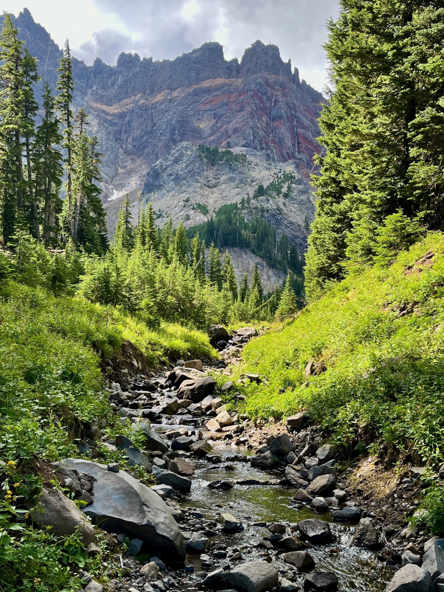 Canyon Meadow